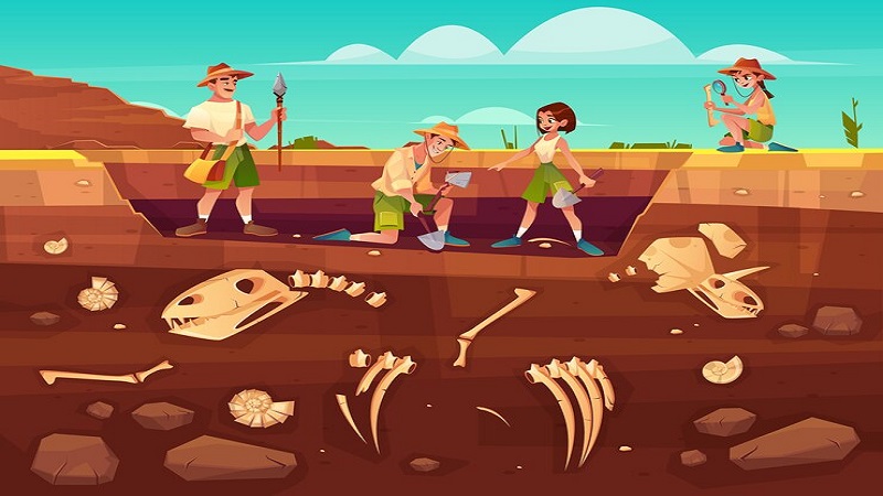 The Discovery of the Largest Human Skeleton Ever Found